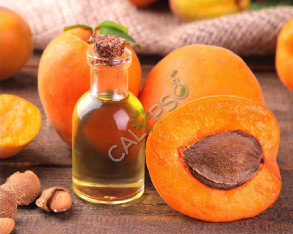 Aceite de portador de albaricoque puro